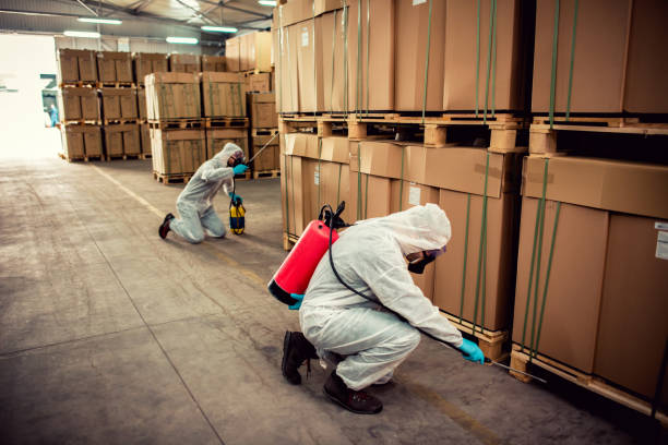 Best Mosquito Control Services  in Chesapeake, OH