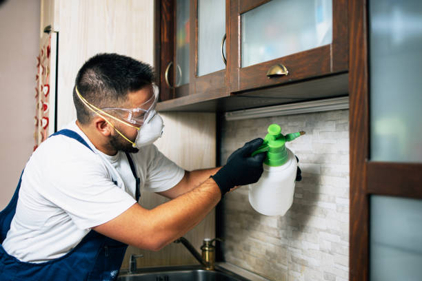 Best Insect Control  in Chesapeake, OH