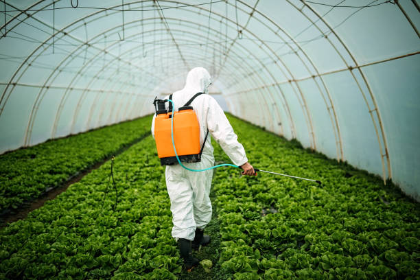 Best Pest Control for Restaurants  in Chesapeake, OH