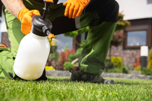 Best Wasp Removal Services  in Chesapeake, OH