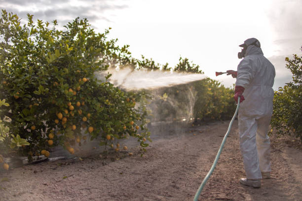 Best Best Pest Control Companies  in Chesapeake, OH