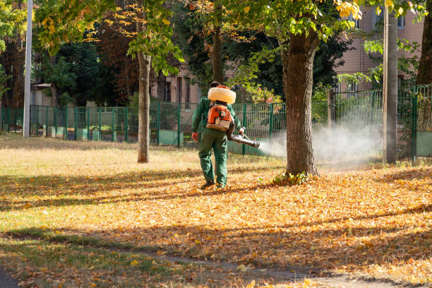 Best Ant Control Services  in Chesapeake, OH