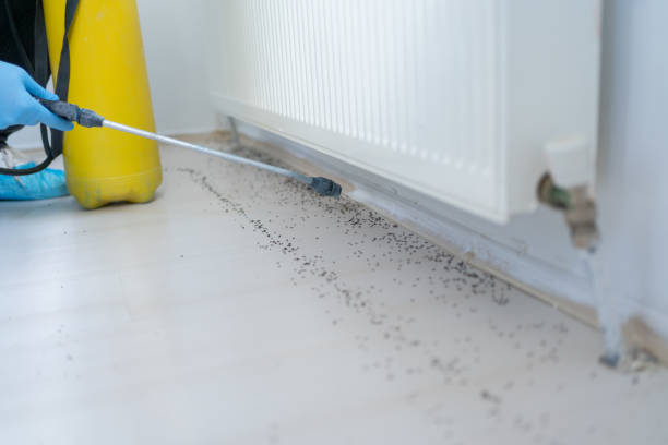 Best Exterminator Services  in Chesapeake, OH