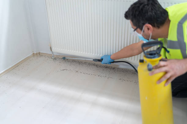 Best Local Pest Control Services  in Chesapeake, OH